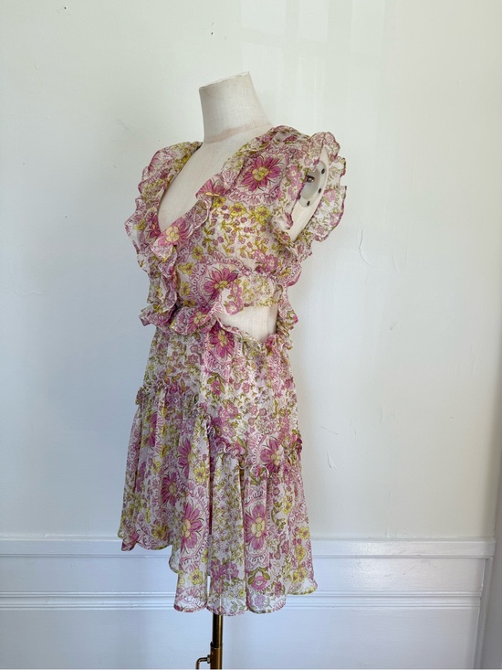 Misa Los Angeles Dresses & Skirts - MISA LA Jolie Floral Ruffle Cutout Mini Dress XS